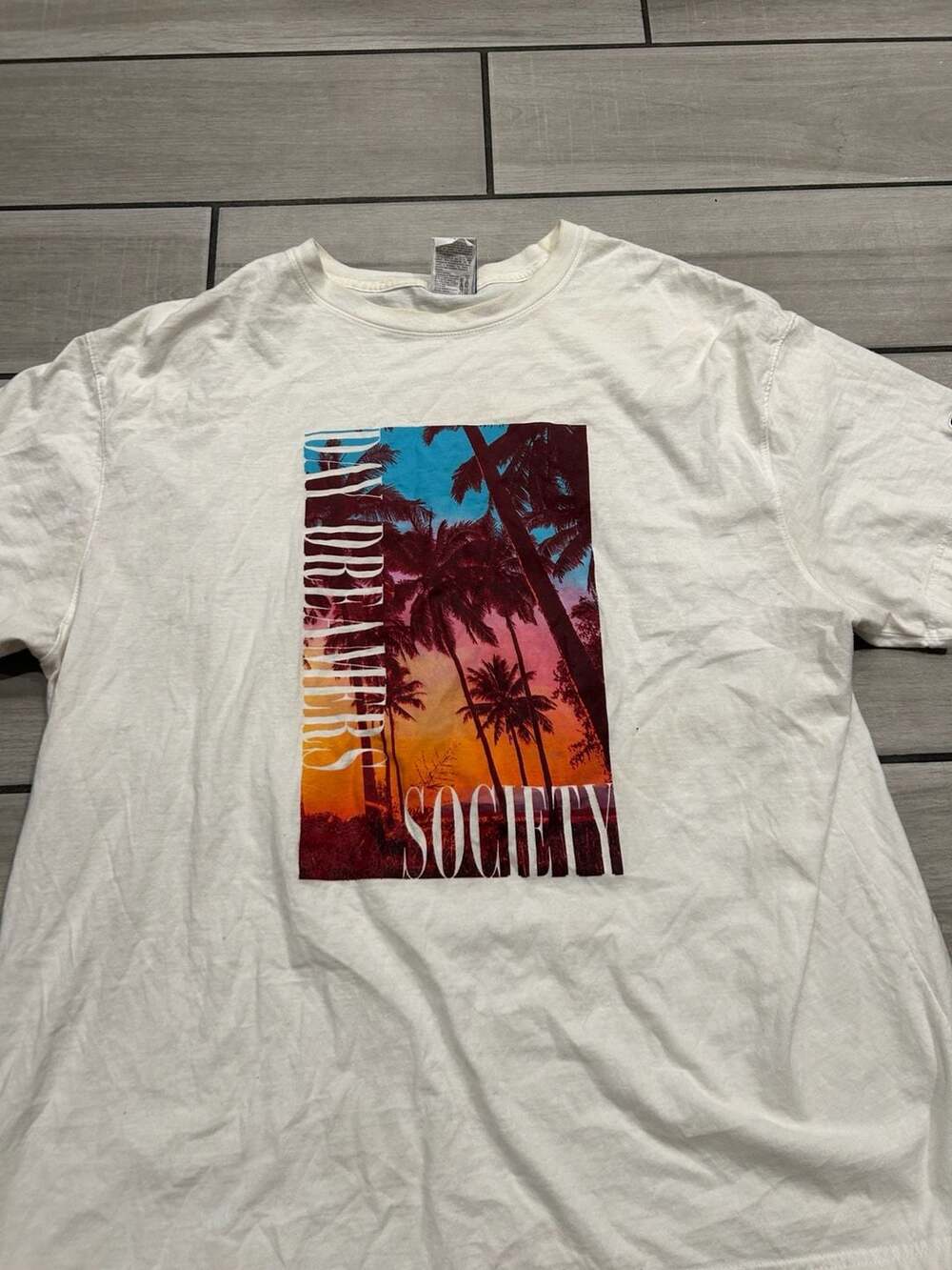 Champion Daydreamers Society Palm Tree Graphic T-Shirt